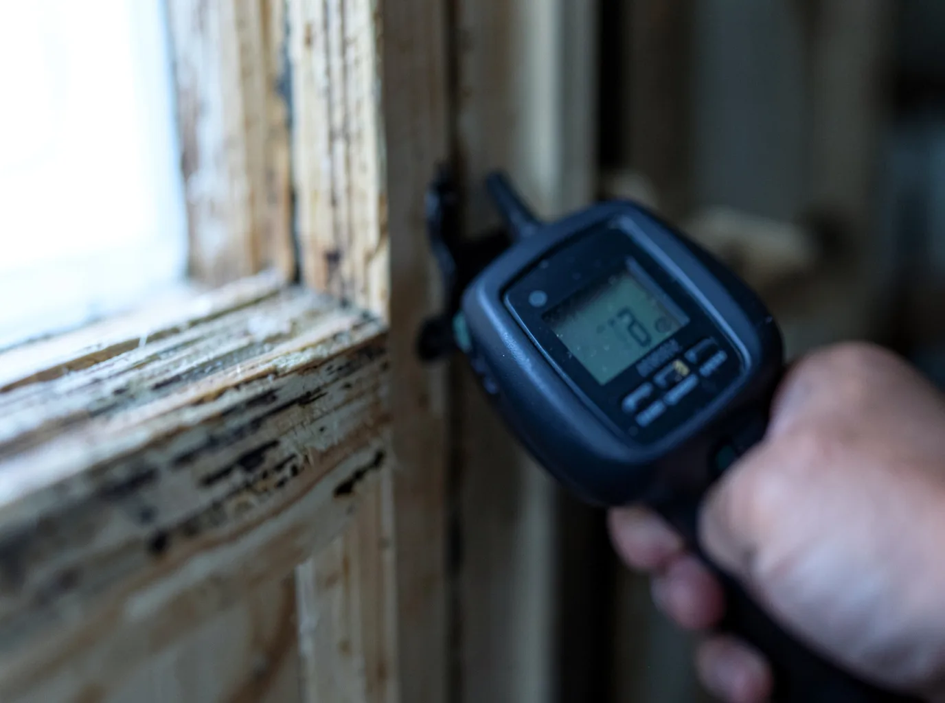 Ceiling Water Damage Repair in Counselor, NM